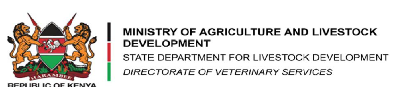 DVS Placement Feb 2026