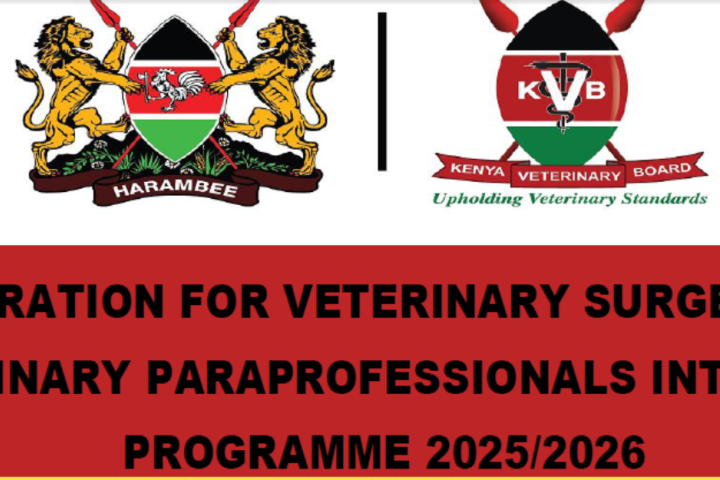 KVB Internship Announcement (2025/2026)